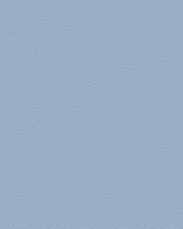 LIND DNA Placemats Nupo - Leer - Lichtblauw 45 x 35 cm - 2 Stuks