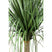 PTMD - Kunstplant Leaves - Groen - 60x75x98cm