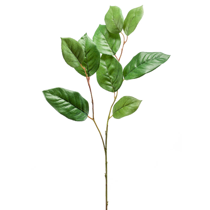 Fleurdirect Kunsttak Shallon - Groen - Polyester - 0x70x0cm (BxHxD)