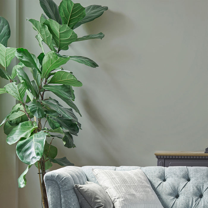 Laura Ashley Muurverf Mat 2.5L Sage Leaf Groen