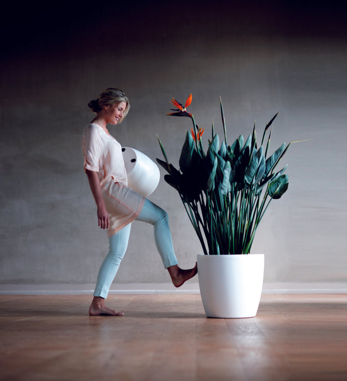 elho Brussels Bloempot op Wielen 40 cm