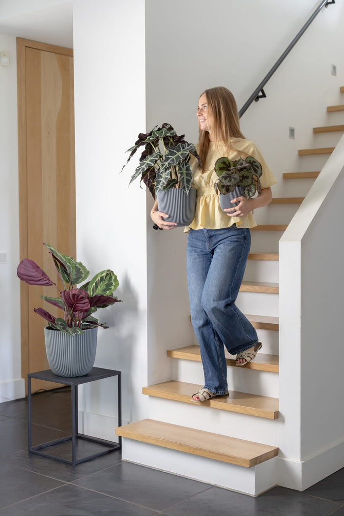 Capi Europe - Pot bol Groove 'made with'  - 25x23 - Textiel grijs