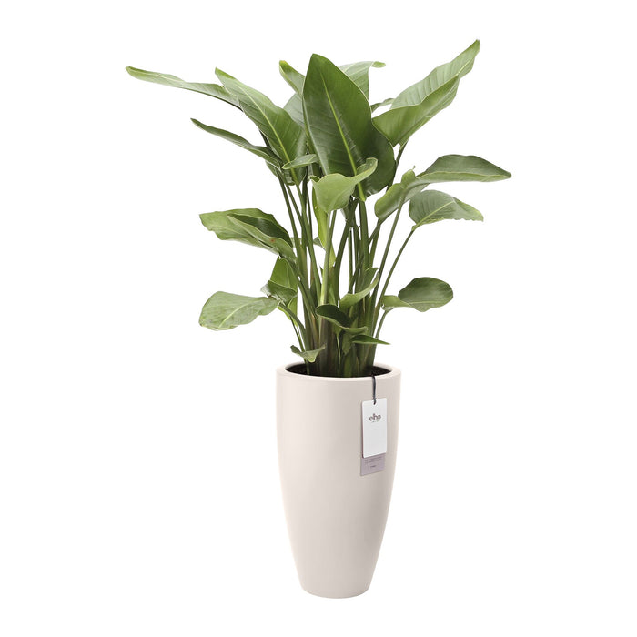 Elho June Round High 30 - Linnen wit - L 30 x B x H 53 cm - Binnen en Buiten - 100% gerecycled