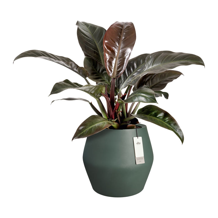 Elho June Split Low 46 - Groen - Ø 46 x H 42 cm - Binnen en Buiten - 100% gerecycled
