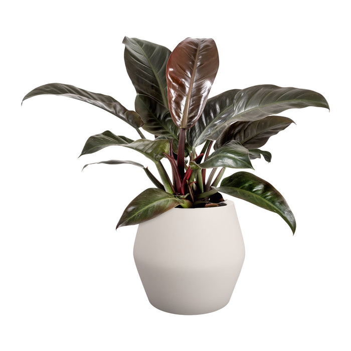 Elho June Split Low 46 - Linnen wit - Ø 46 x H 42 cm - Binnen en Buiten - 100% gerecycled kunststof