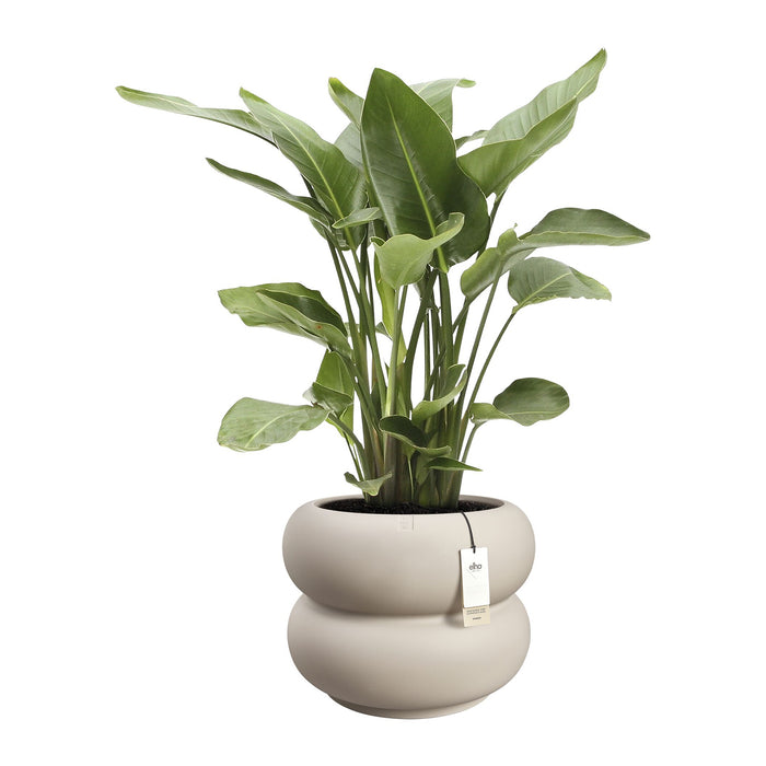 Elho Amber Roll Low 60 - Balanced beige - Ø 60 x H 46 cm - Binnen en Buiten - 100% gerecycled