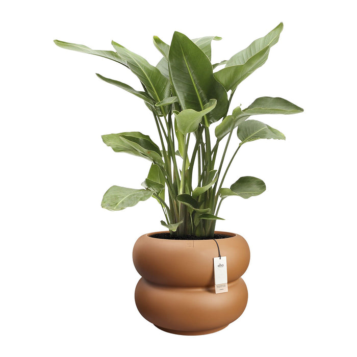 Elho Amber Roll Low 60 - Karamel - Ø 60 x H 46 cm - Binnen en Buiten - 100% gerecycled