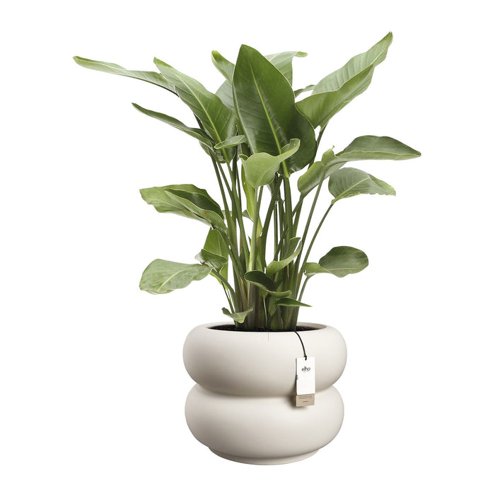 Elho Amber Roll Low 60 - Linnen wit - Ø 60 x H 46 cm - Binnen en Buiten - 100% gerecycled