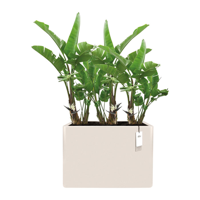 Elho June Brick Divider 80 - Linnen wit - L 79 x B x H 59 cm - Binnen en Buiten - 100% gerecycled kunststof