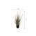 Mica Decorations Dogtail gras paars in pot d10cm - h53xd30cm