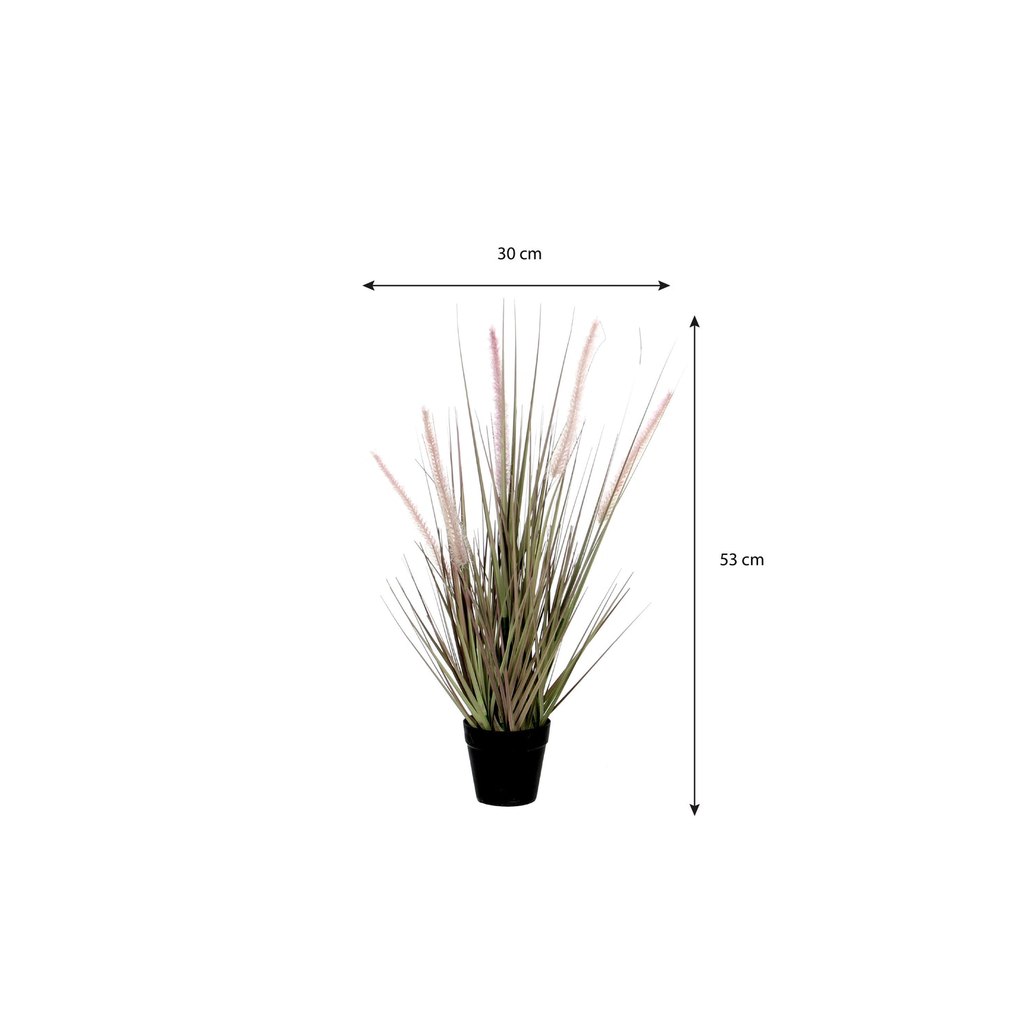 Mica Decorations Dogtail gras paars in pot d10cm - h53xd30cm