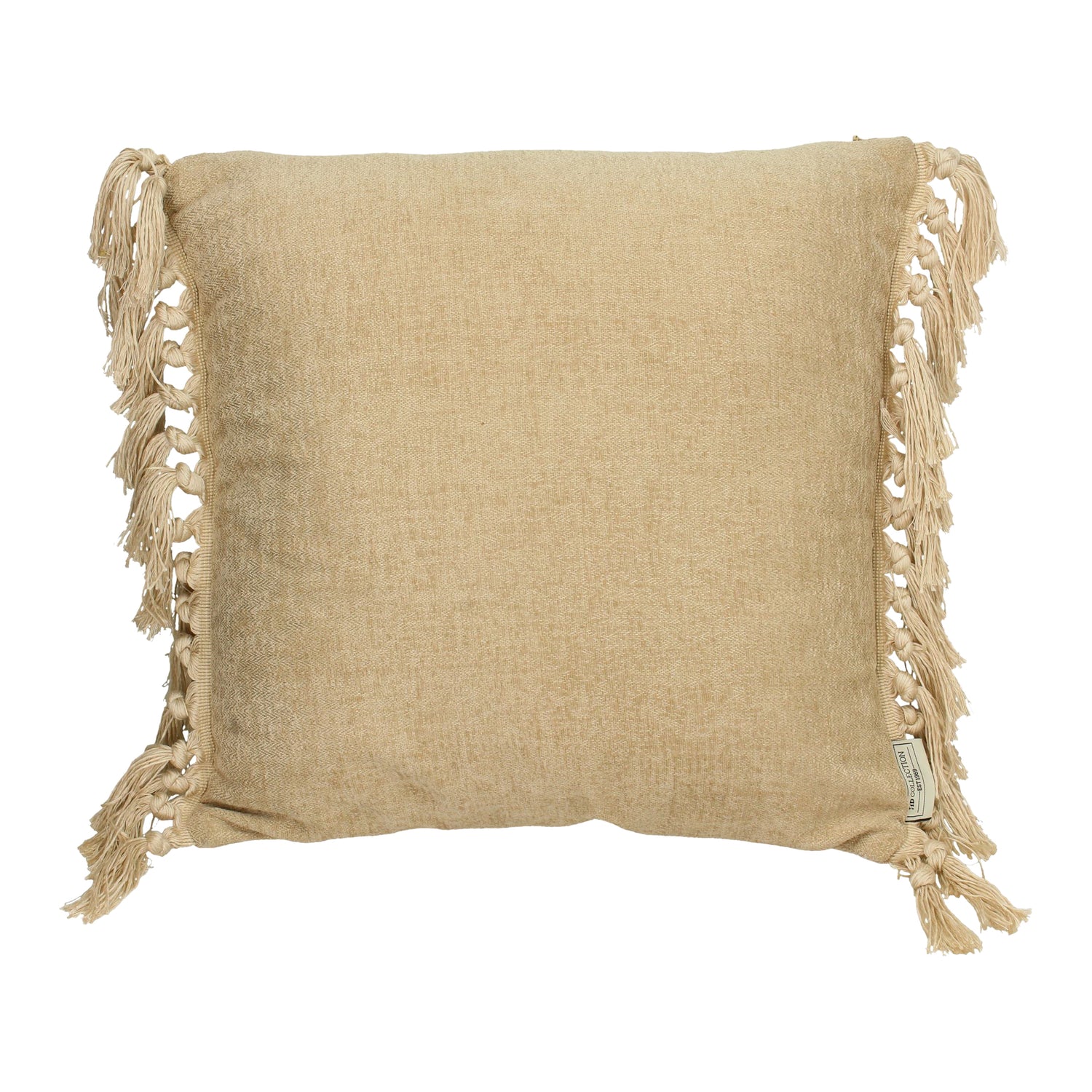 298015-x00.jpg (1149779) 