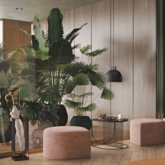 Curva paraplubak goud