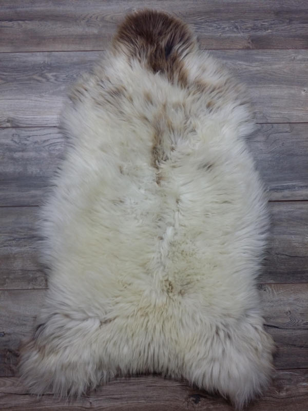 08b98057-94d5-44df-96c3-2280358a18f4-afbeelding3.jpg (1157714) 