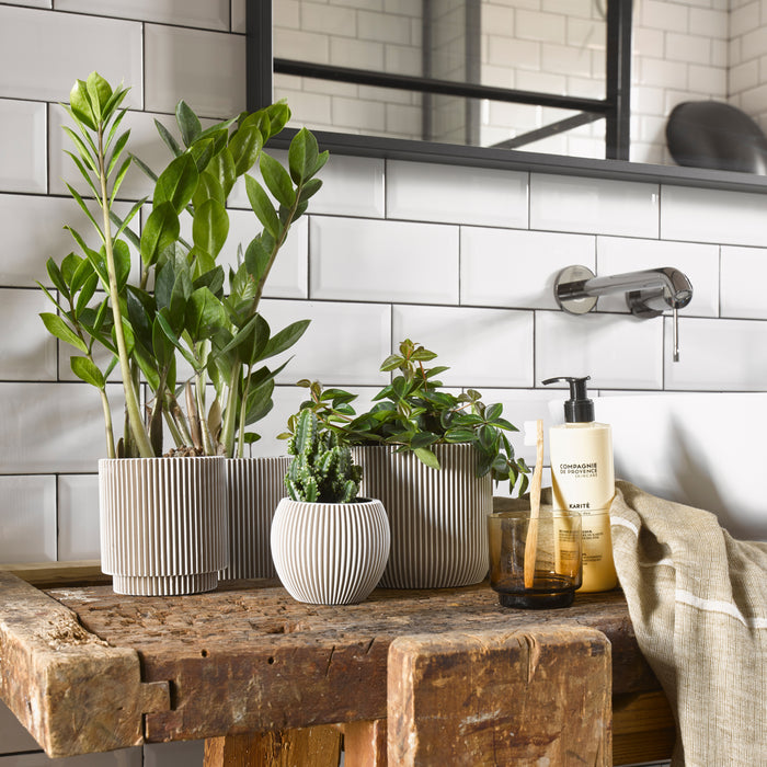 Capi Europe Nature Indoor Mix Bloempot Mix - Set van 4 - Ivoor