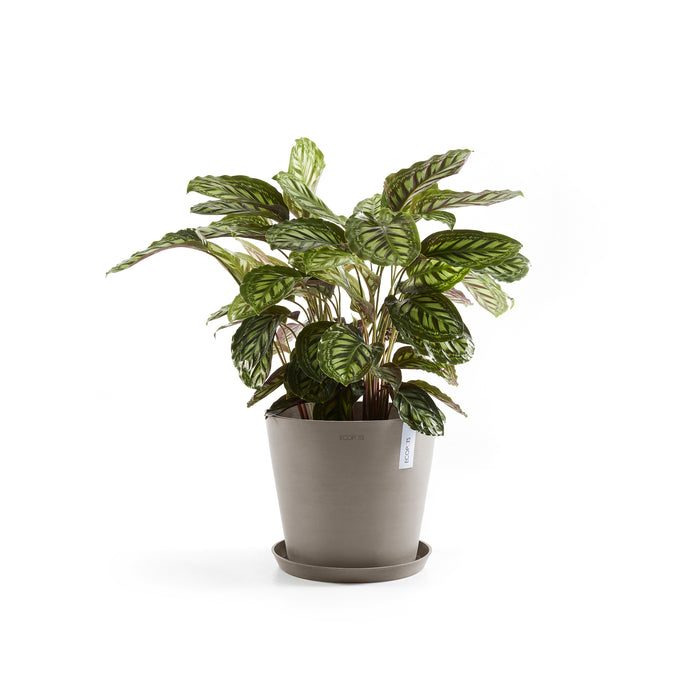 Ecopots Amsterdam Pot Ø 40 cm - Taupe
