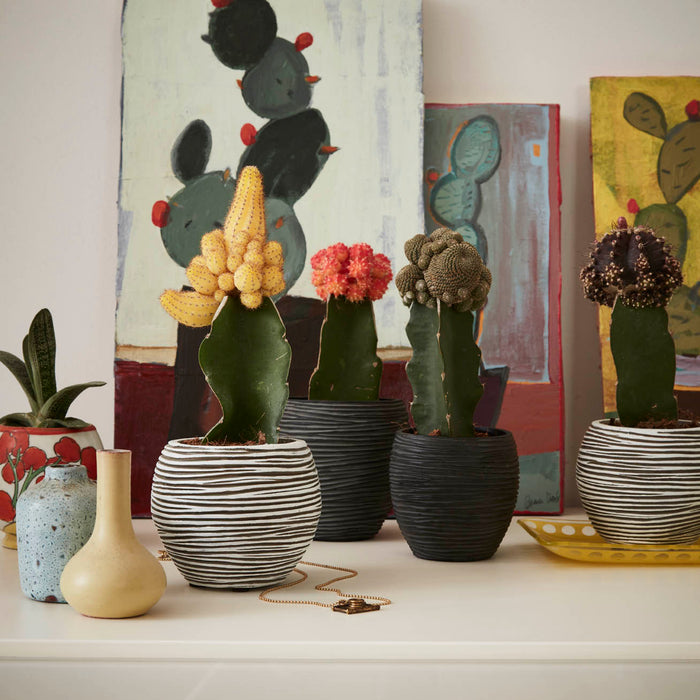 156019-x04.jpg (1164242) 