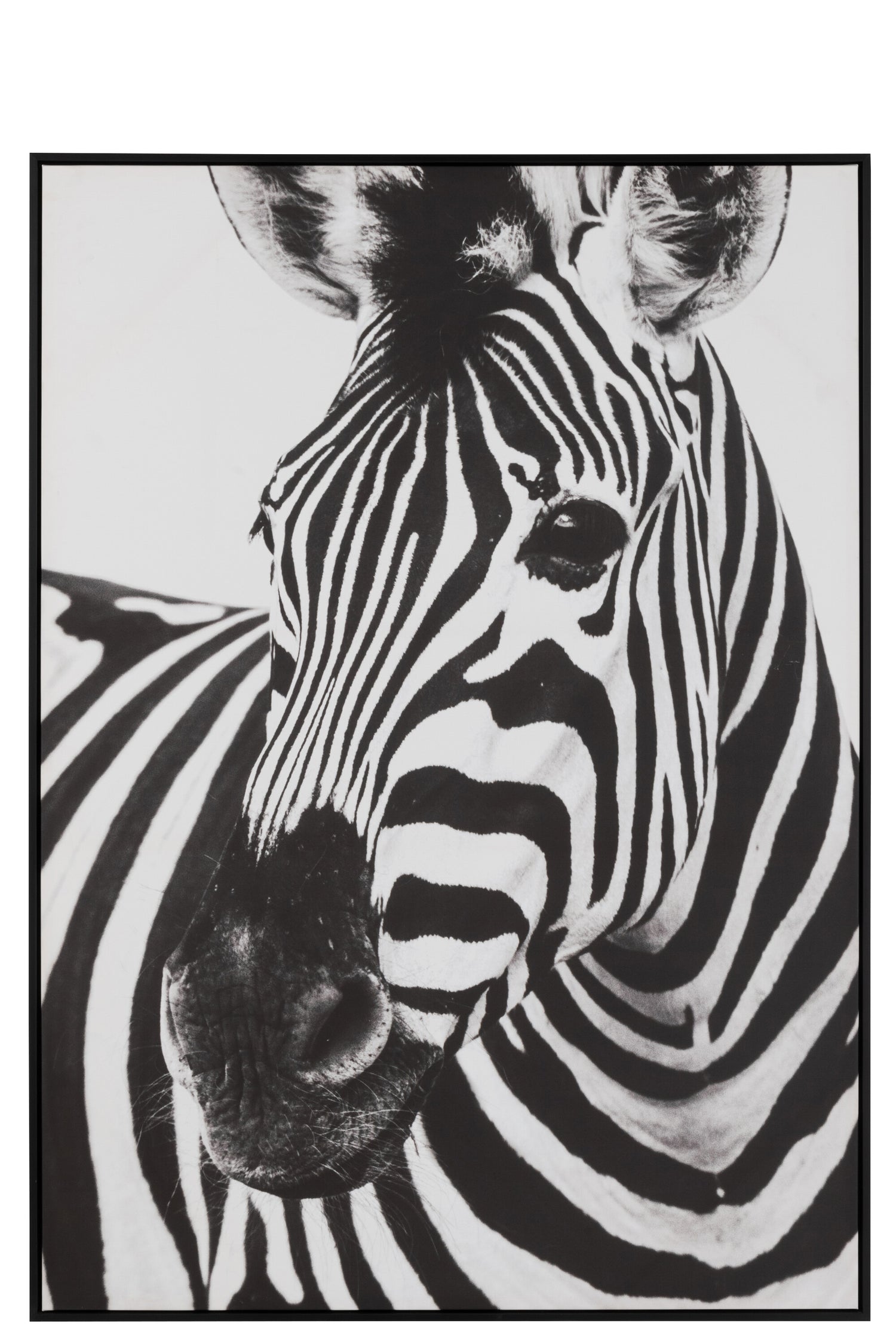 J-Line wanddecoratie Zebra - canvas - zwart|wit