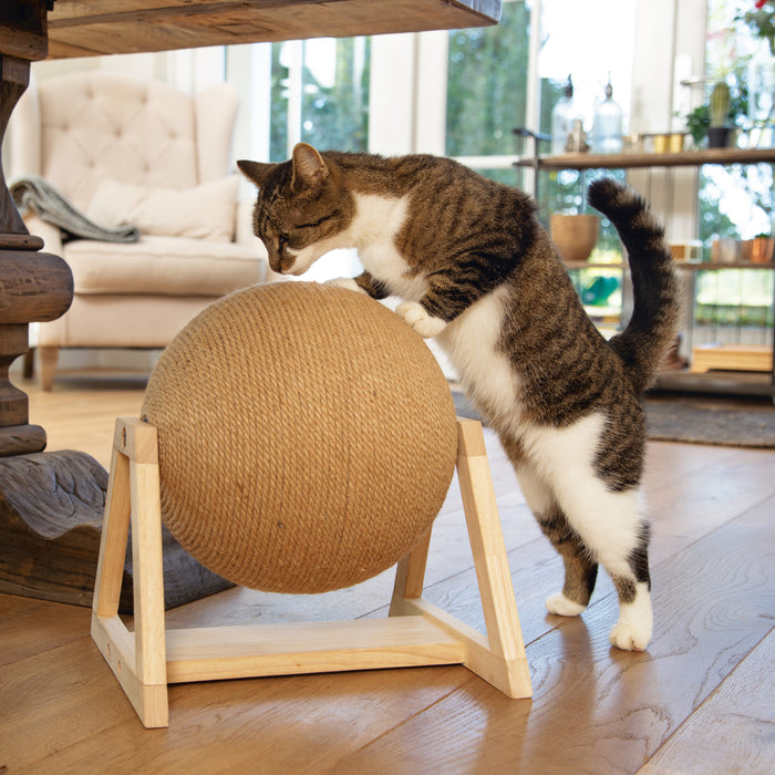 292067-x1.jpg (1189010) 