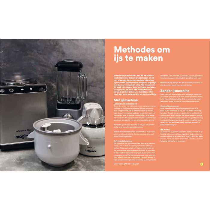 IJs & co - Aniek Keijsers