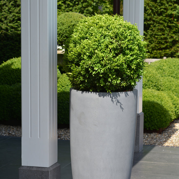 Vase The World Kentucky 100 cm