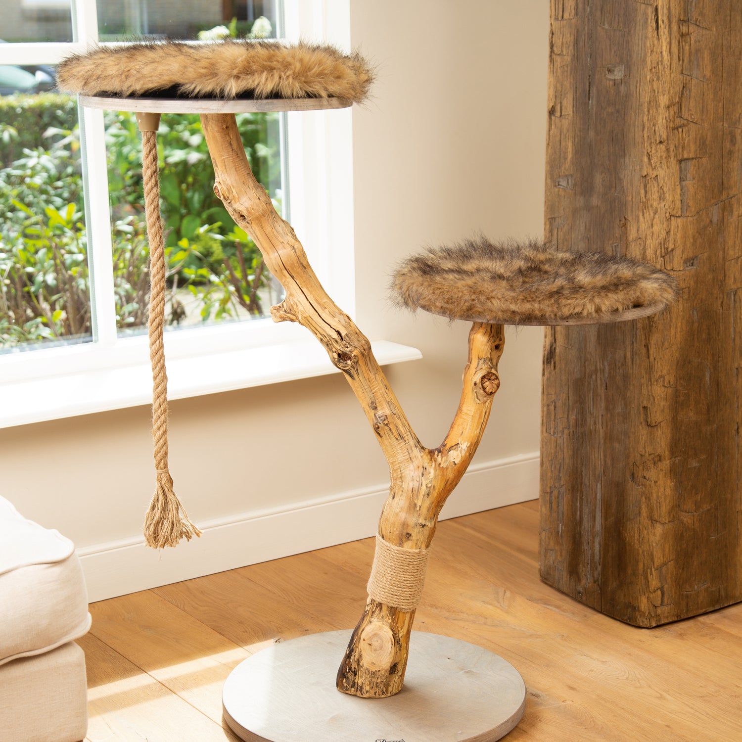 249082-x1.jpg (1241505) 