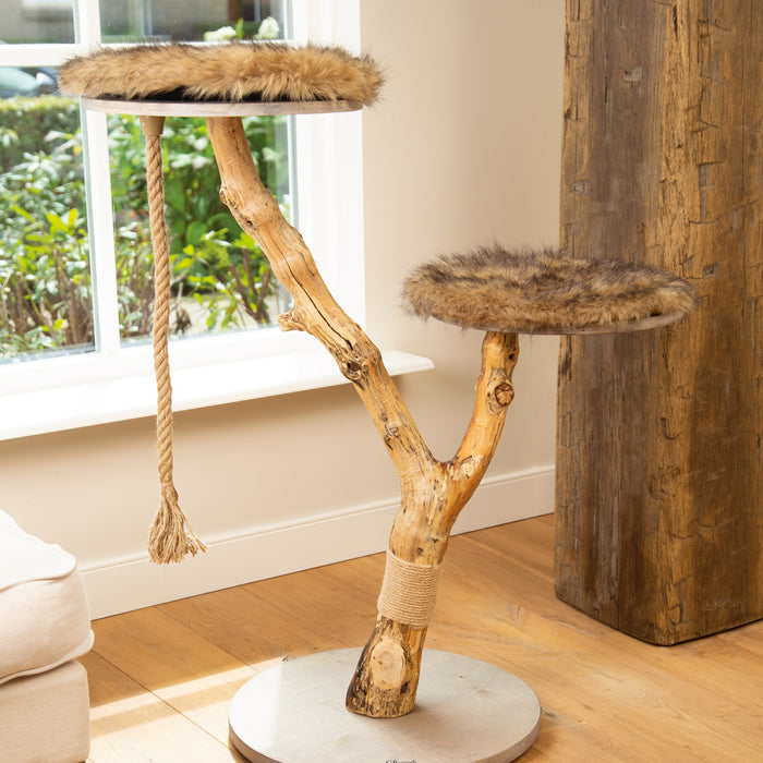 249082-x1.jpg (1241505) 