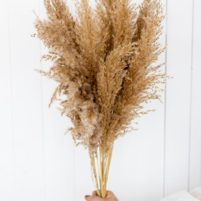 7d4d538f-6563-4a3d-b53d-e24e8df0cdc0-afbeelding3.jpg (1241804) 