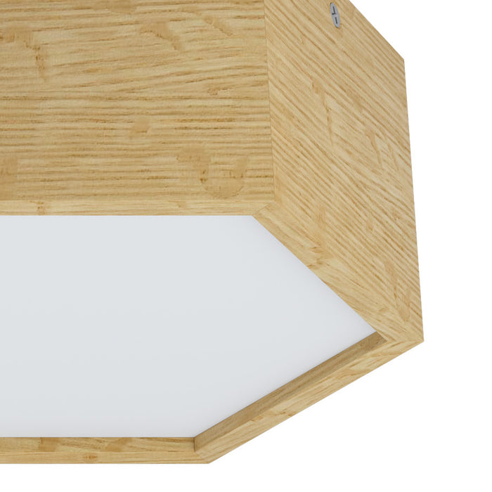 309098-x04.jpg (1245188) 