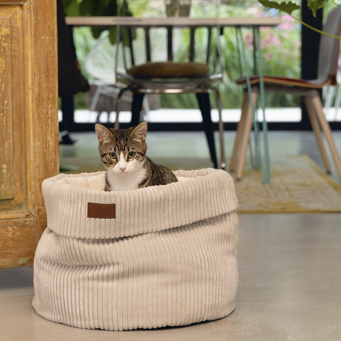 308174-x02.jpg (1297371) 