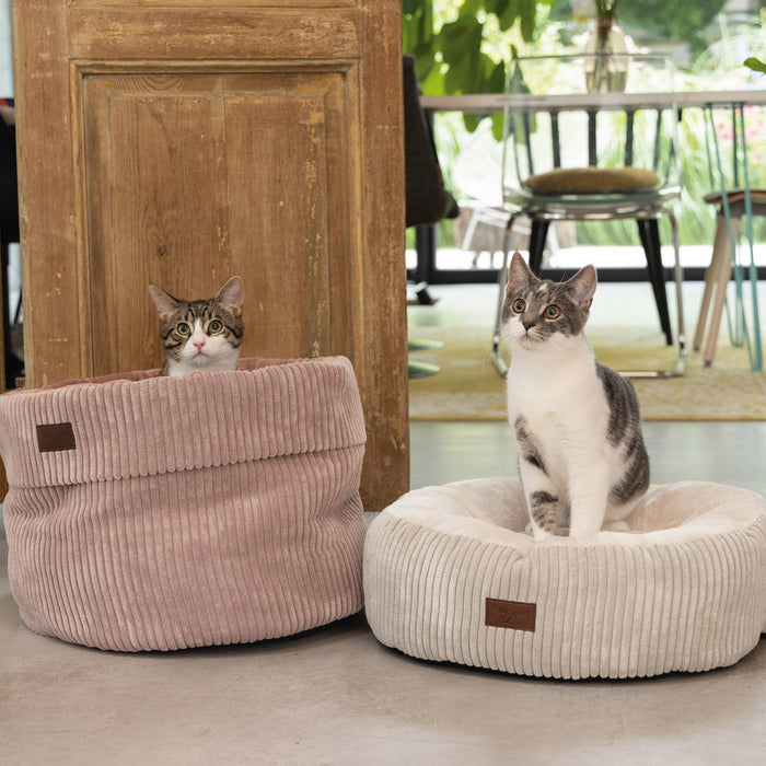 308176-x01.jpg (1298489) 