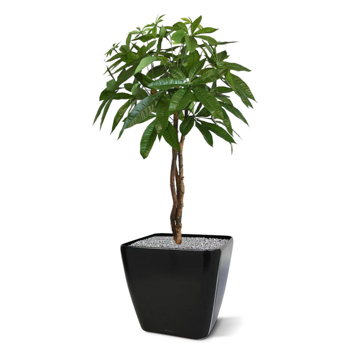 c70c4a18-35b7-4057-9d69-bd7925f99559-afbeelding5.jpg (1308794) 