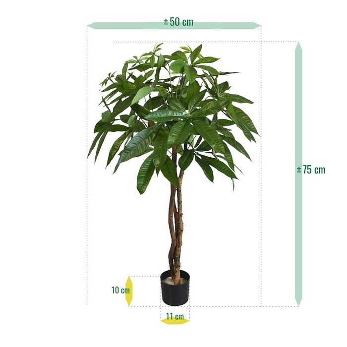 c70c4a18-35b7-4057-9d69-bd7925f99559-afbeelding6.jpg (1308795) 