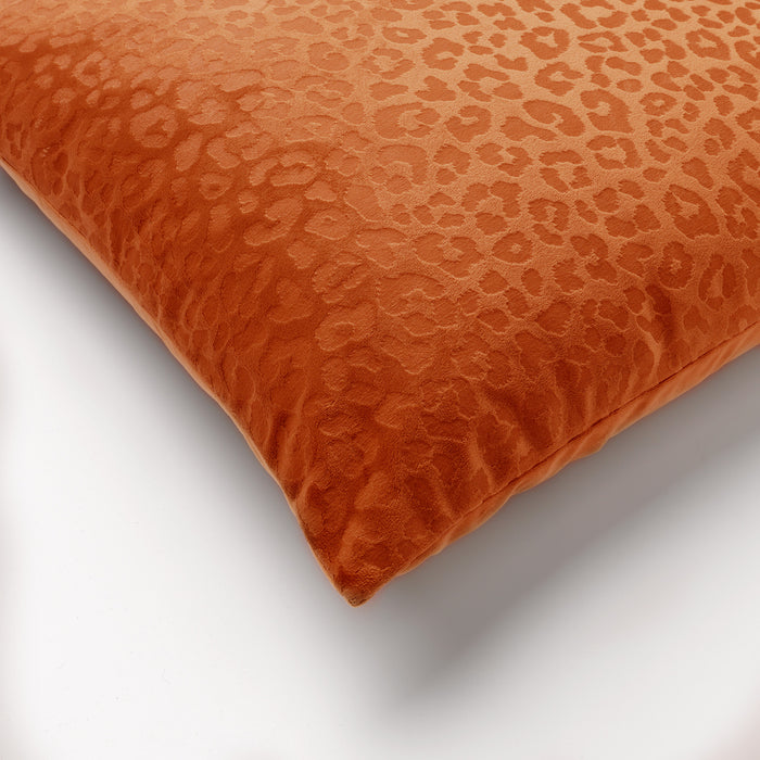 1a8a8418-8733-4ca8-b1f1-bbeb60d81462-afbeelding3.jpg (1314926) 