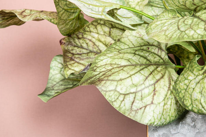 PTMD Ossetong Kunsttak - 22 x 26 x 42 cm - Bruin