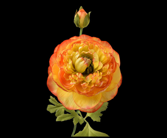 2eadefec-57ad-4d3b-99ed-2c35516e7e7b-sfeerbeeld.jpg (1327453) 