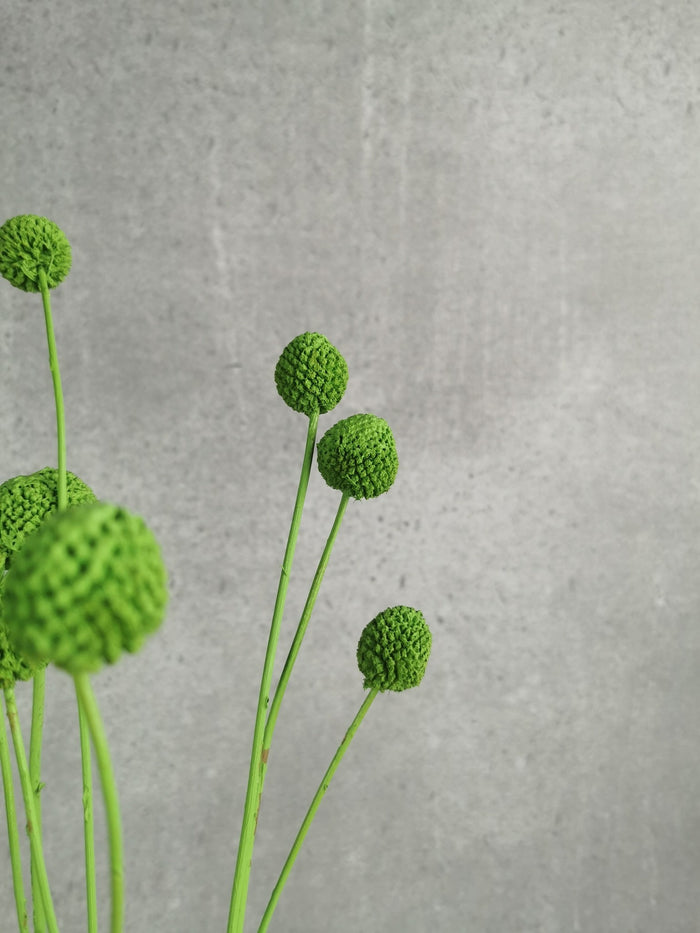 3fcada36-0ecc-4247-b119-57a899be52f8-afbeelding3.jpg (1327654) 