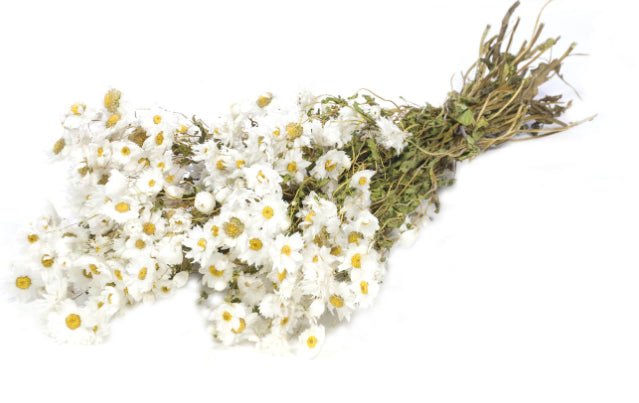 89dcb4a6-02c4-4bc1-ab35-637adf6a505e-afbeelding3.jpg (1331739) 