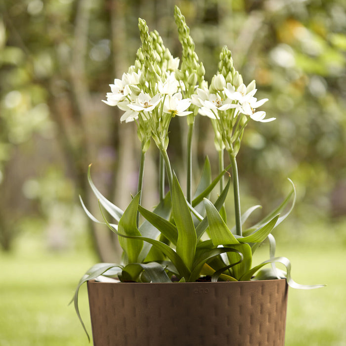 Elho Fuente Grains Bloempot 47 cm - Bruin