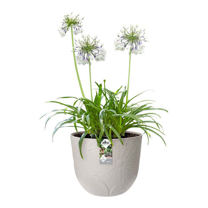 Elho Fuente Lily Bloempot 38 cm - Grijs