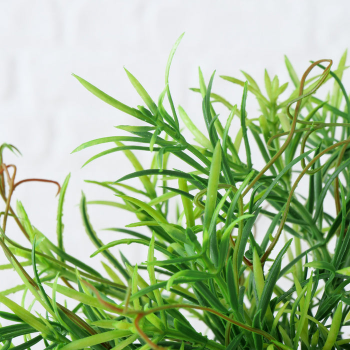 309e0ac1-d75e-42e9-8ac8-d253e73ea145-afbeelding3.jpg (1335193) 