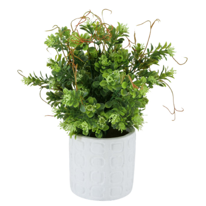 309e0ac1-d75e-42e9-8ac8-d253e73ea145-afbeelding8.jpg (1335198) 