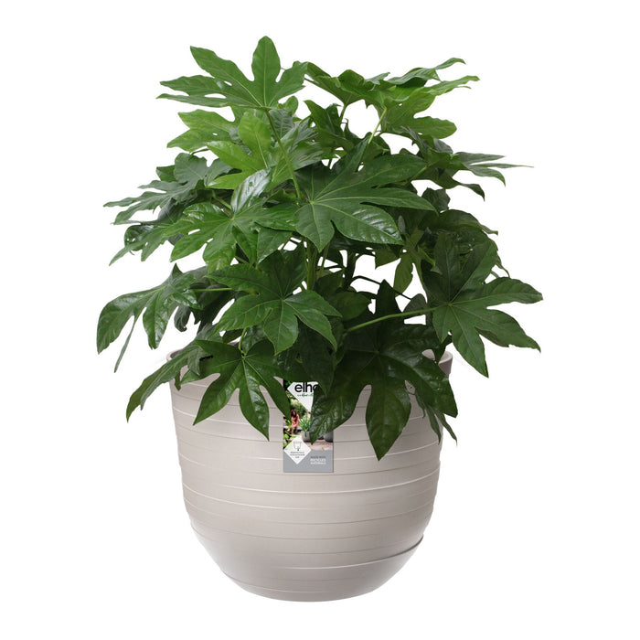 Elho Fuente Rings Bloempot 47 cm - Grijs