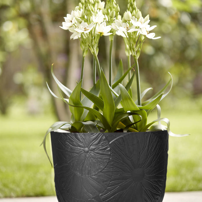 Elho Fuente Lily Bloempot 47 cm - Zwart