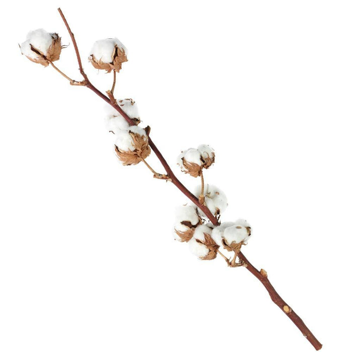 16a2de06-fbeb-471d-960b-7dff22ee5ee6-afbeelding4.jpg (1406861) 