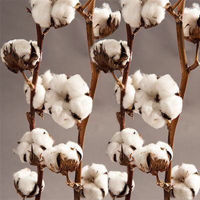 16a2de06-fbeb-471d-960b-7dff22ee5ee6-afbeelding6.jpg (1406863) 