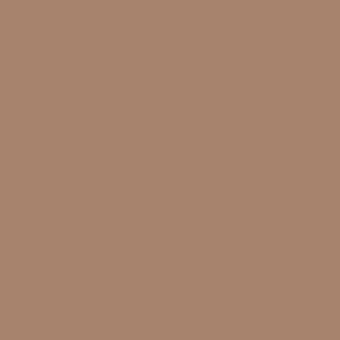 Graham & Brown Testerpot Matte Muurverf Hot Mocha Bruin 100ml