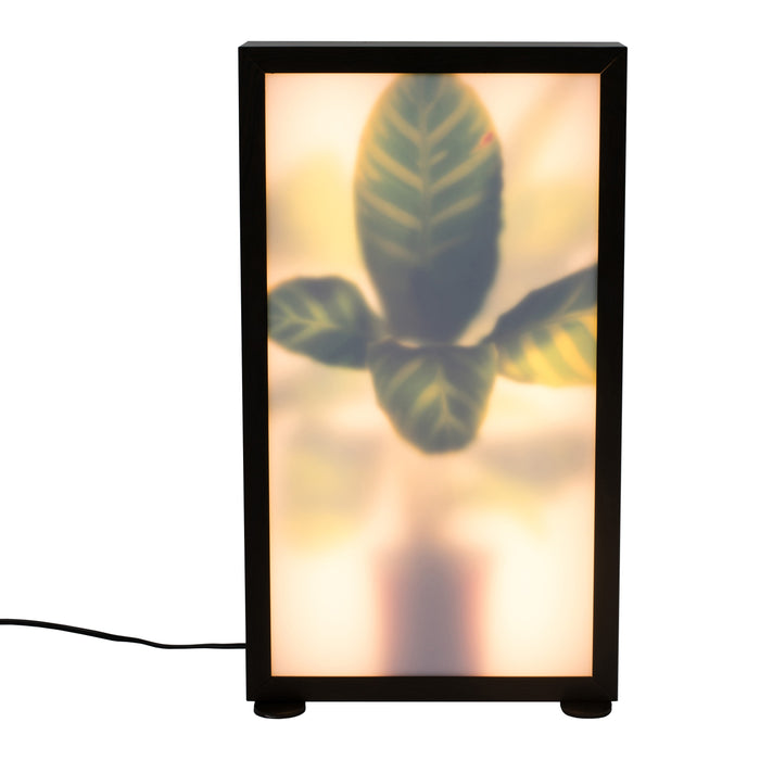 Zuiver Grow Vloerlamp M