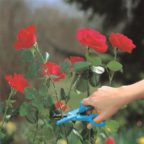 Gardena Bloemenschaar