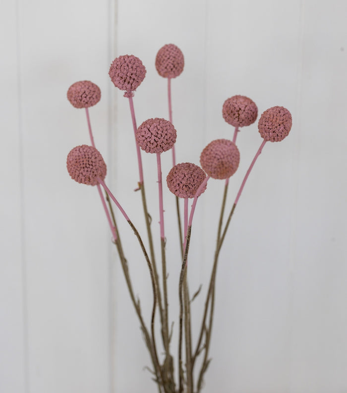 884be34b-636c-4dfa-9c0d-172352c83d13-afbeelding4.jpg (1448059) 